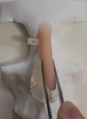 3Dフィットオーダーメイドシリコンの動き比較