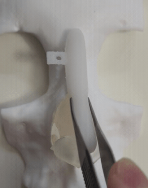 一般シリコンの動き比較